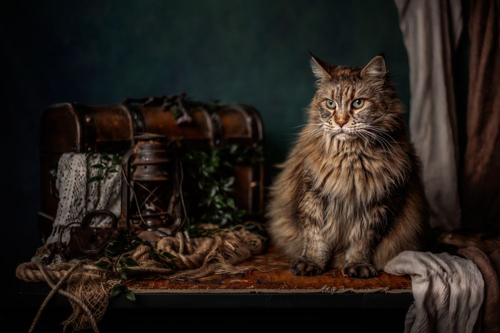 Photograph by Gertrude Goené