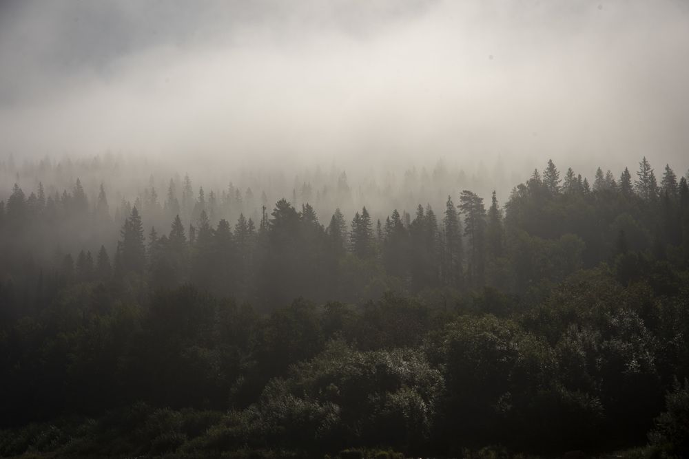 Фотография автора Злобин Сергей