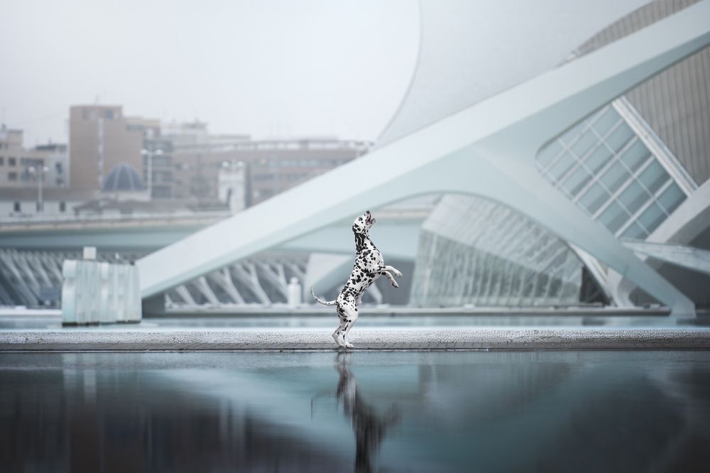 Photograph by Paula Casado Gutierrez