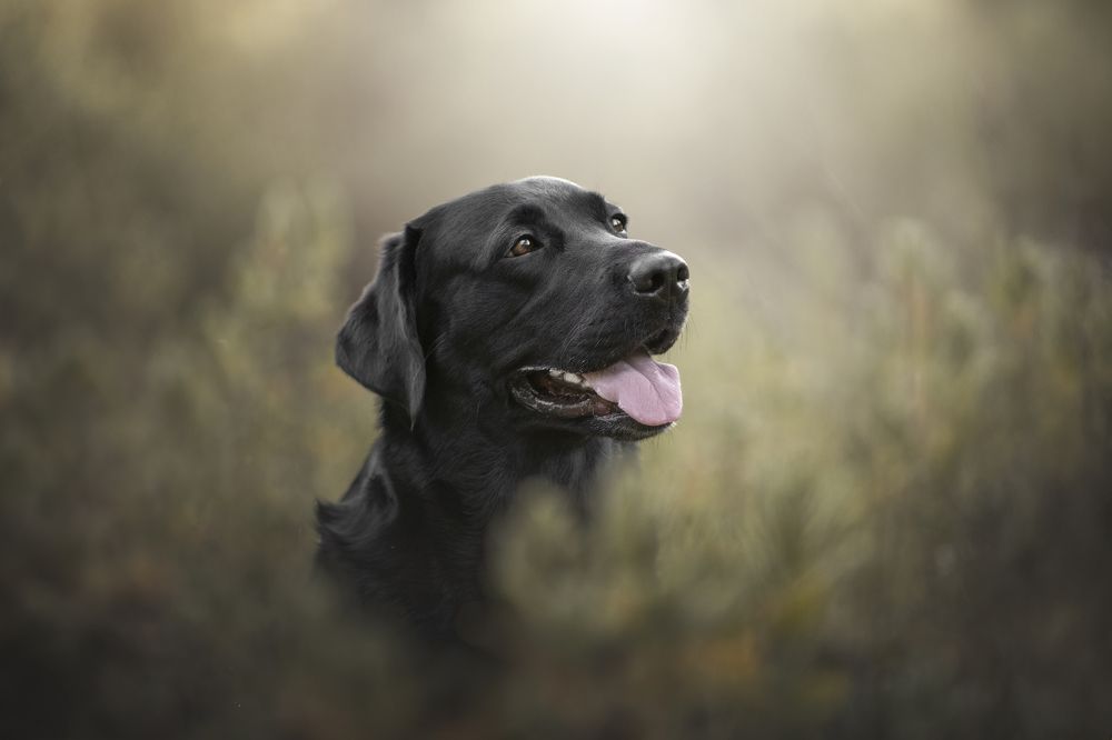 Photograph by Paula Casado Gutierrez