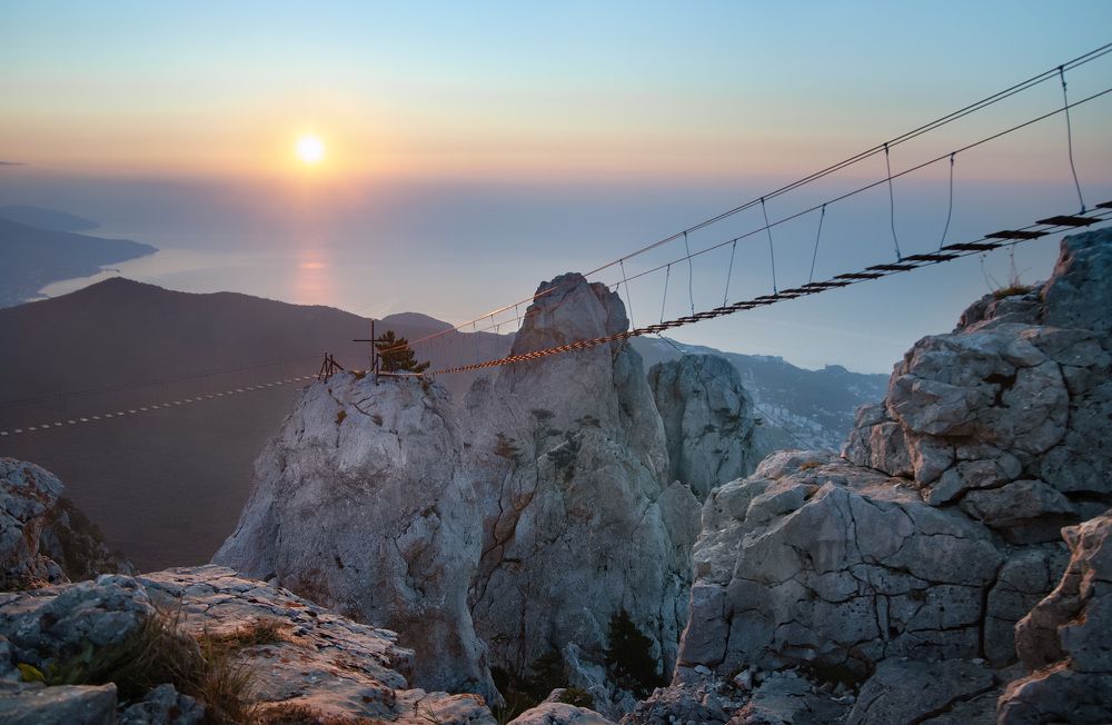 Фотография автора Petrova Anastasia