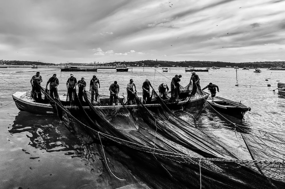Beykoz Dalyan Fishing