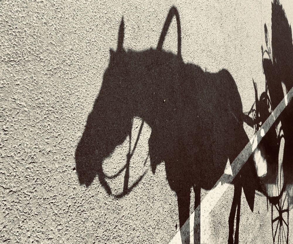 Photograph by Елена Маркова