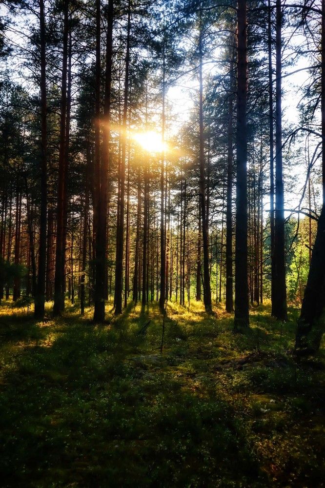 Photograph by Сергей Назаредский