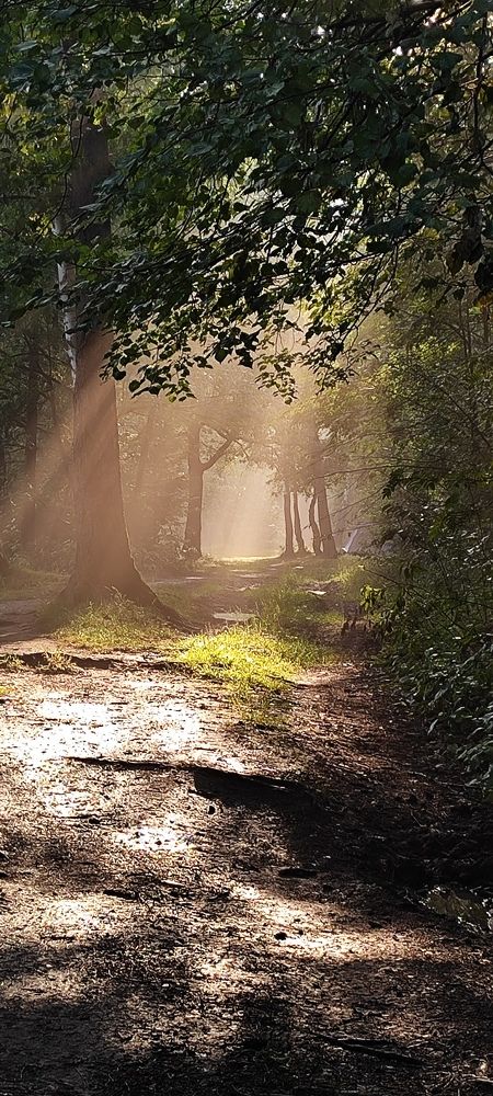 Photo #11015225