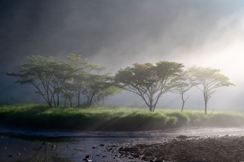 Photograph by Tsunoda