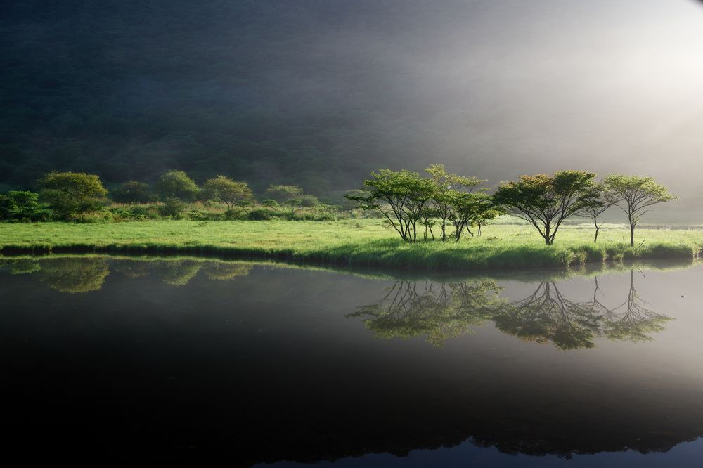 Photograph by Tsunoda