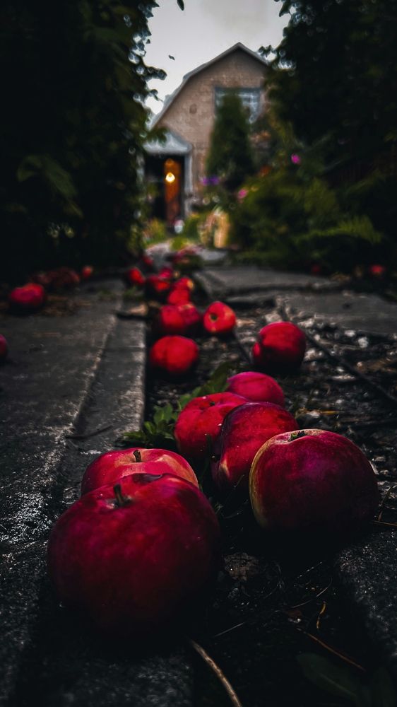 Photograph by Евгений Жидков