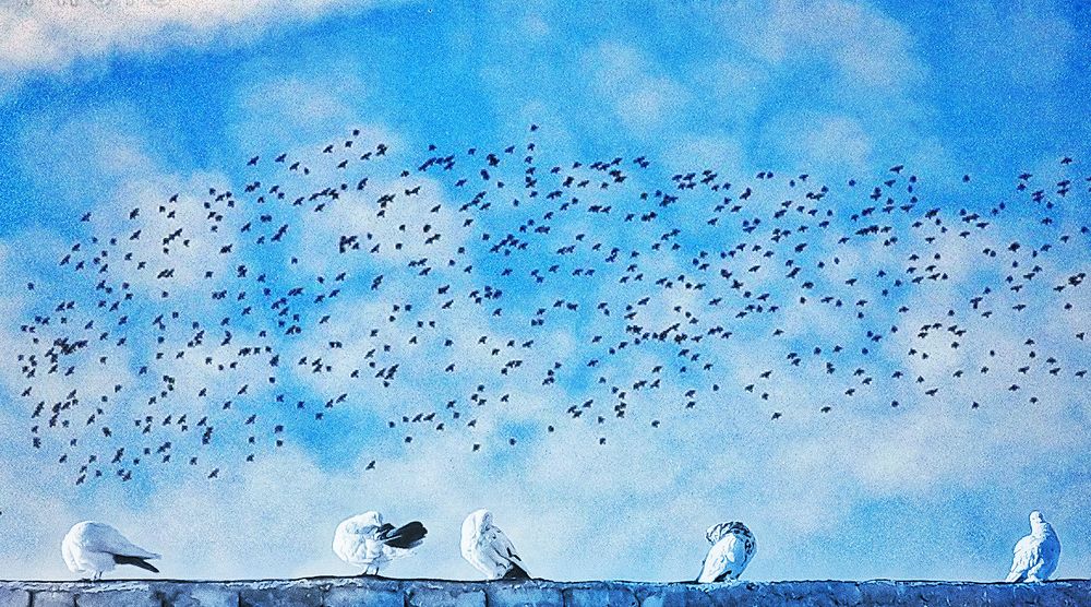 newly arrived people