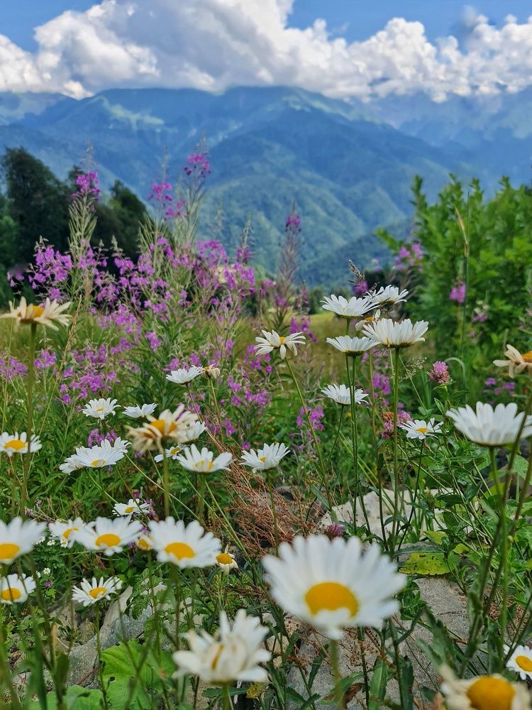 Photograph by Наталья Иванова