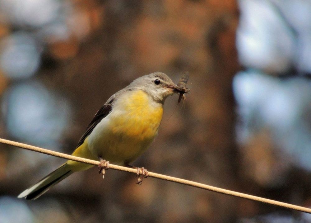 Photograph by Павел Васильев