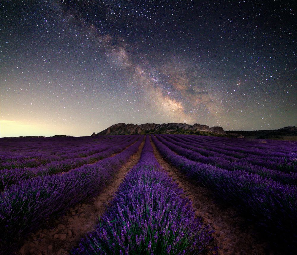 Lavandas de Grávalos