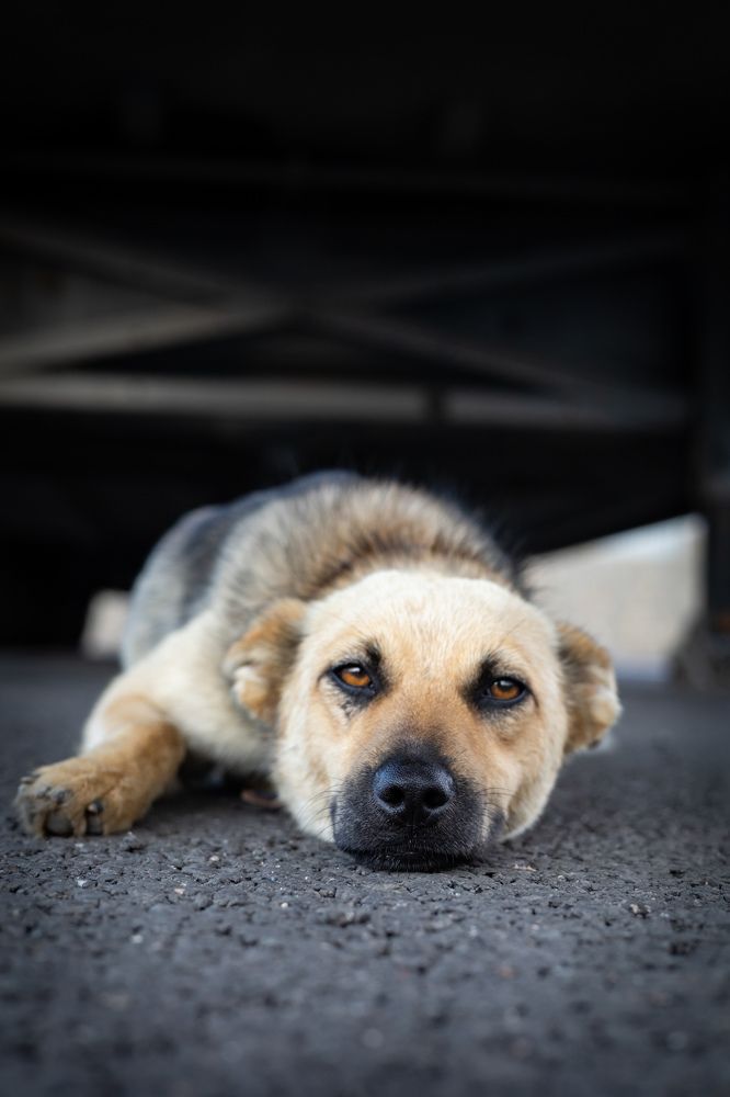 Photograph by ANDREY KISELYOV