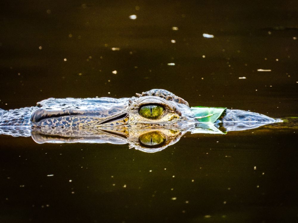 Photograph by fabio chiari