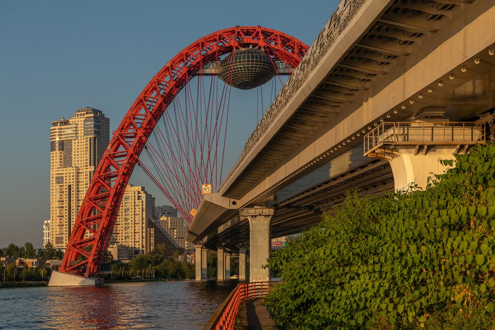 Фотография автора Дмитрий Потапов