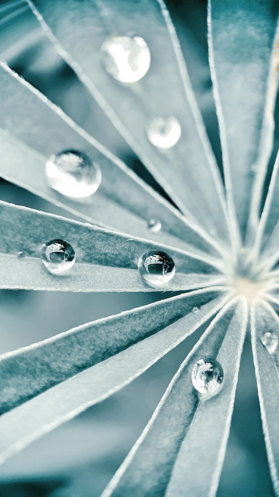 Photograph by Ольга Метлицкая