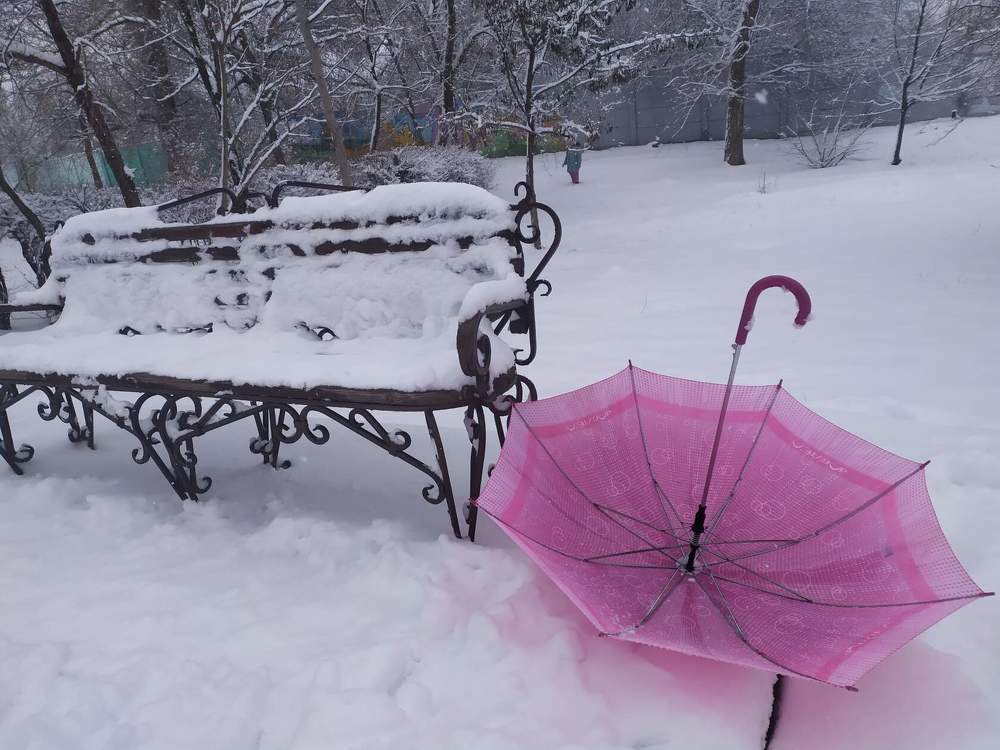 Photograph by Тамара Смирнова