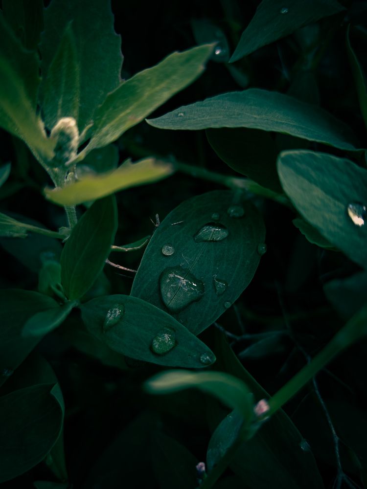 Photo #11015596