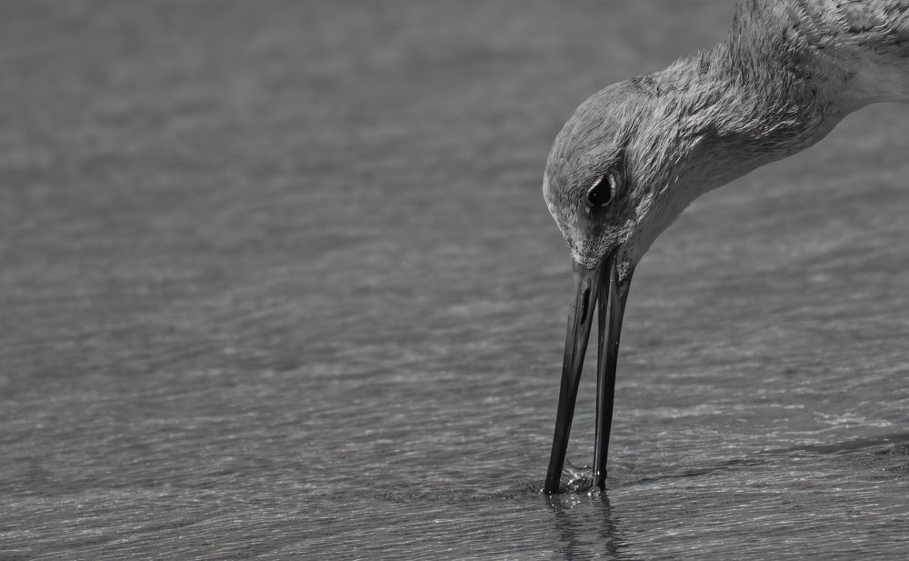 Photograph by Jaime Trejo