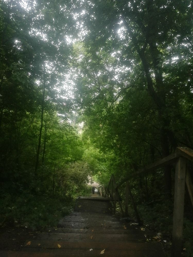 Photograph by Григорий Ветошкин