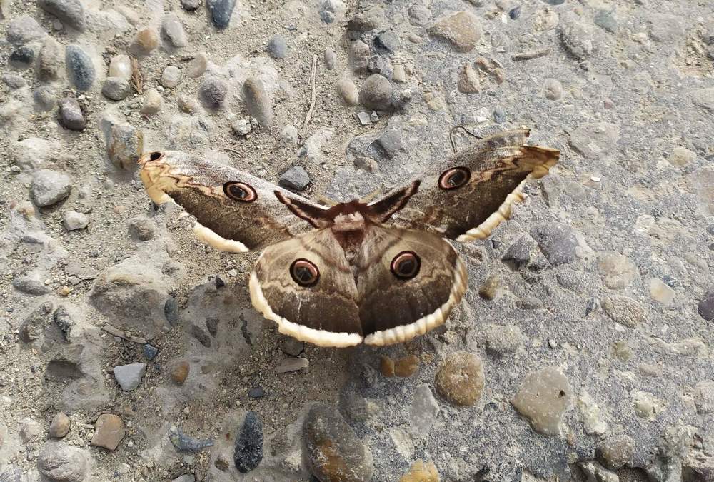 Photograph by Тамара Смирнова