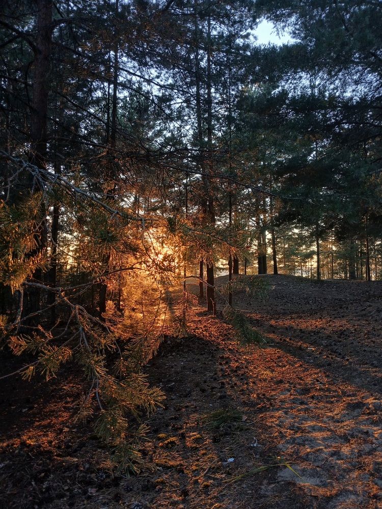 Photo #11015773