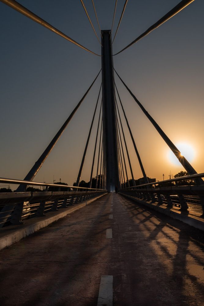 Photograph by M. Luisa Águeda