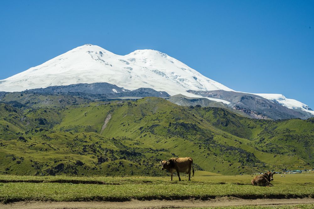 Фотография автора Борунов Константин