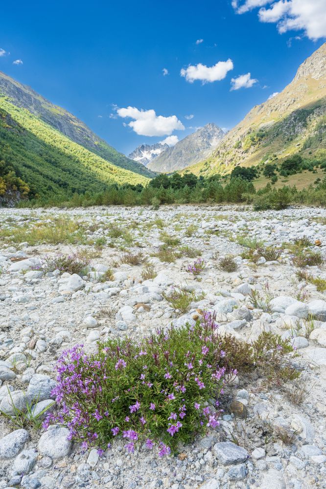Фотография автора Борунов Константин