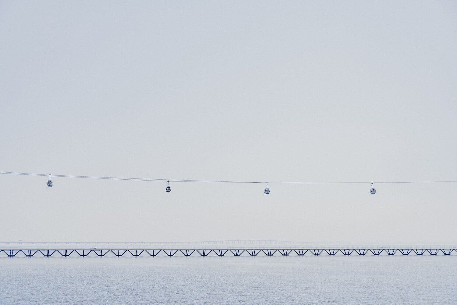 Photo #11015935