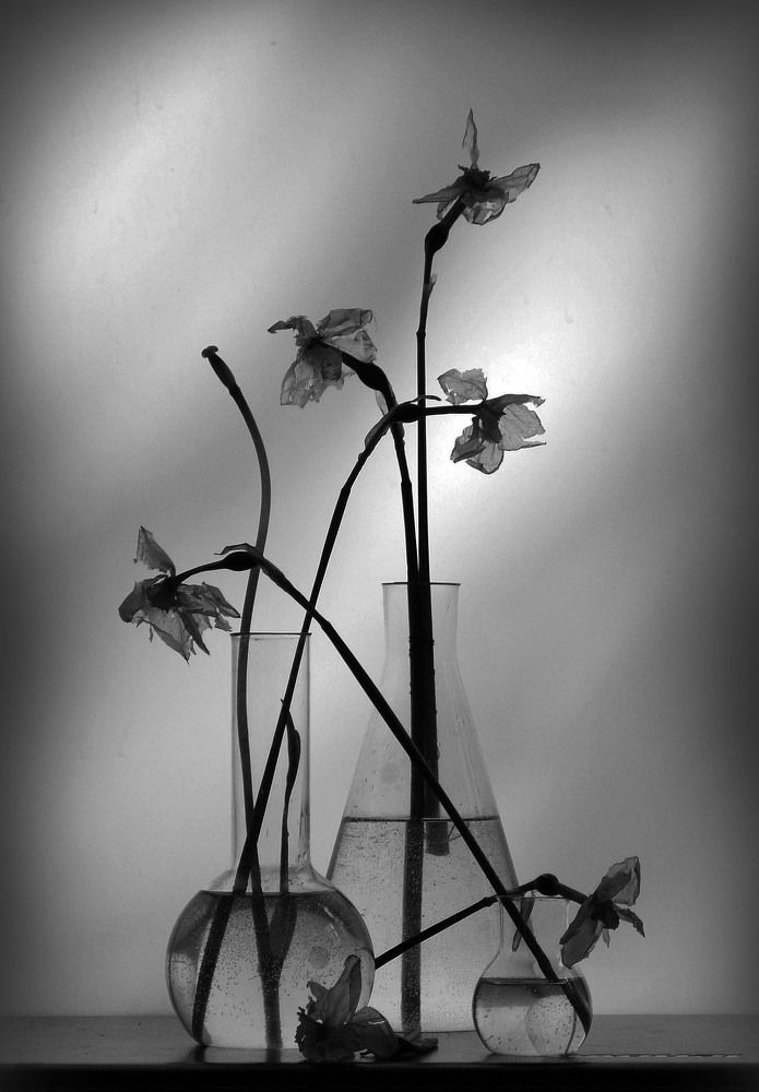 Photograph by 