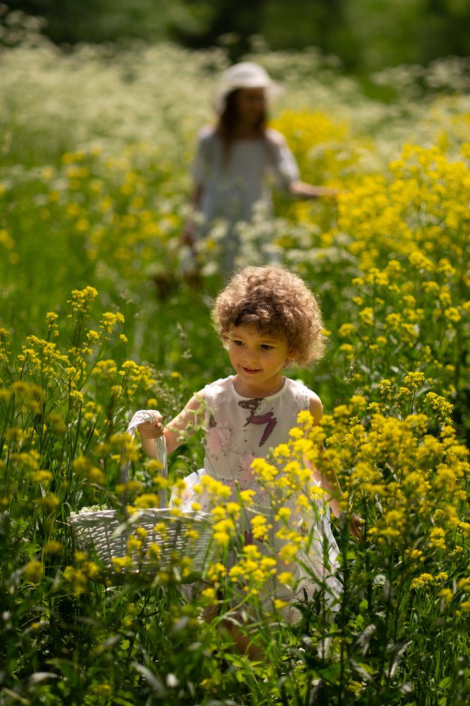 Фотография автора Светлана Зимина