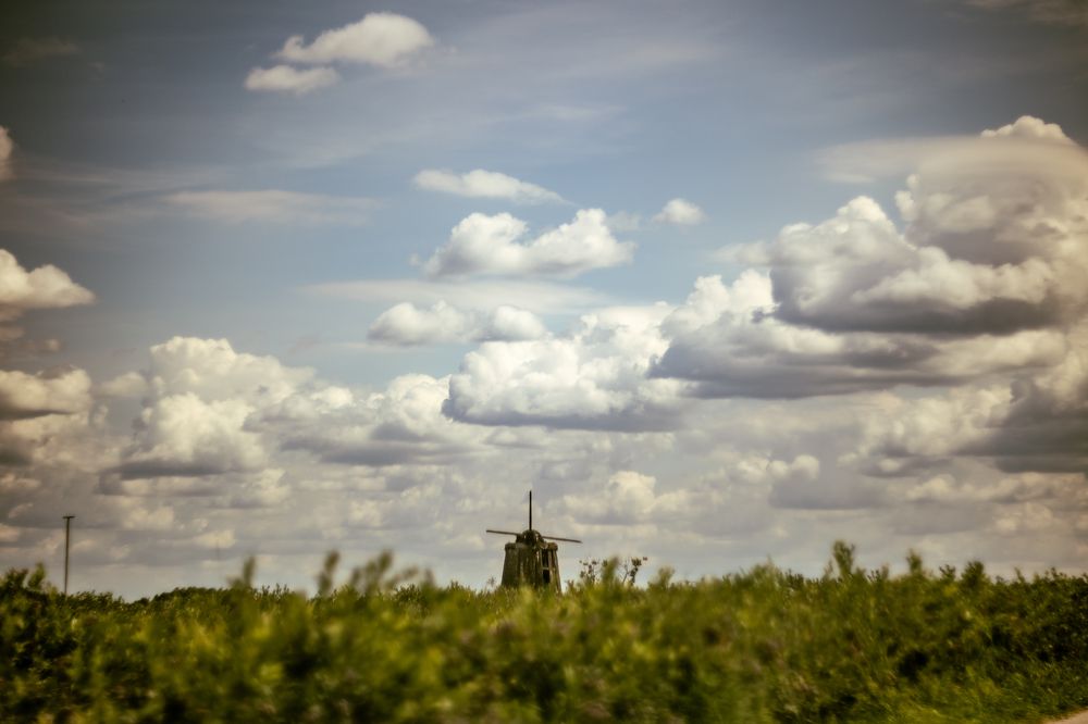 Photograph by Anna Suchcicka