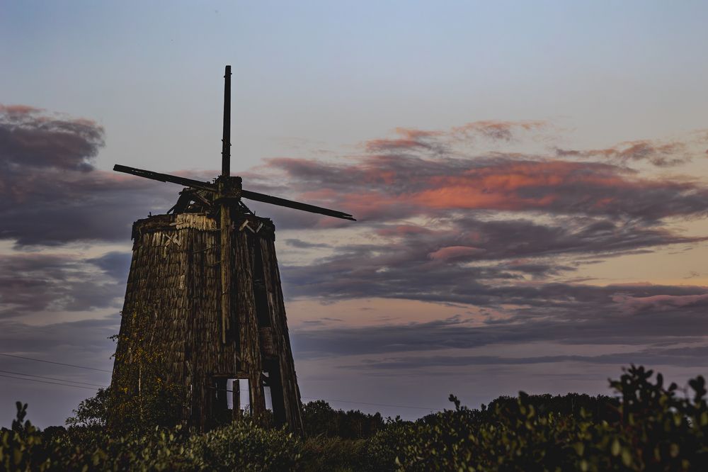 Photograph by Anna Suchcicka