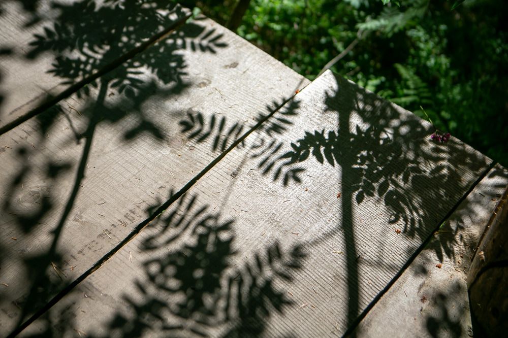 Photograph by Очева Наталья Александровна