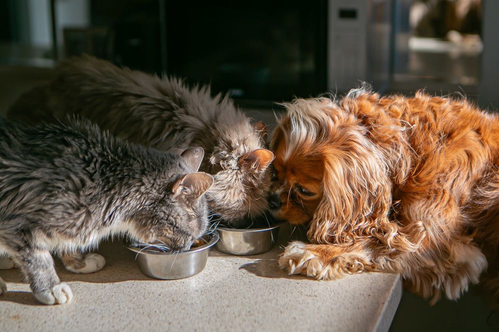 Photograph by Очева Наталья Александровна