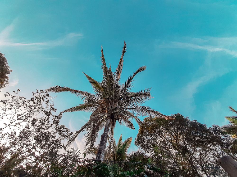 O toque da natureza.