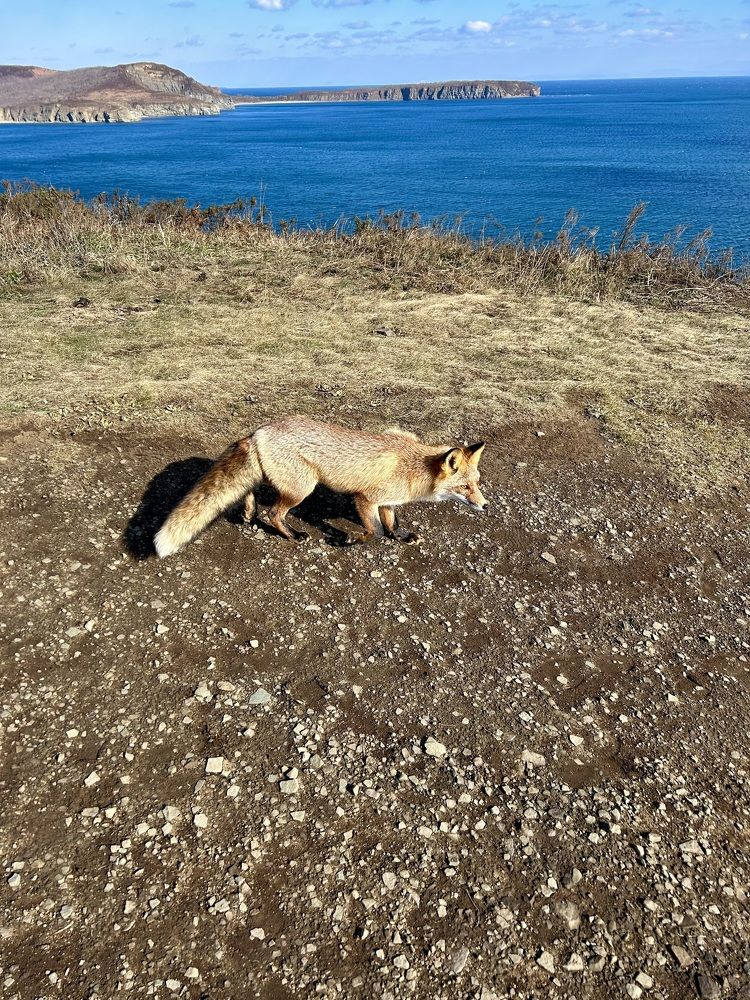 Photograph by Елена Власова