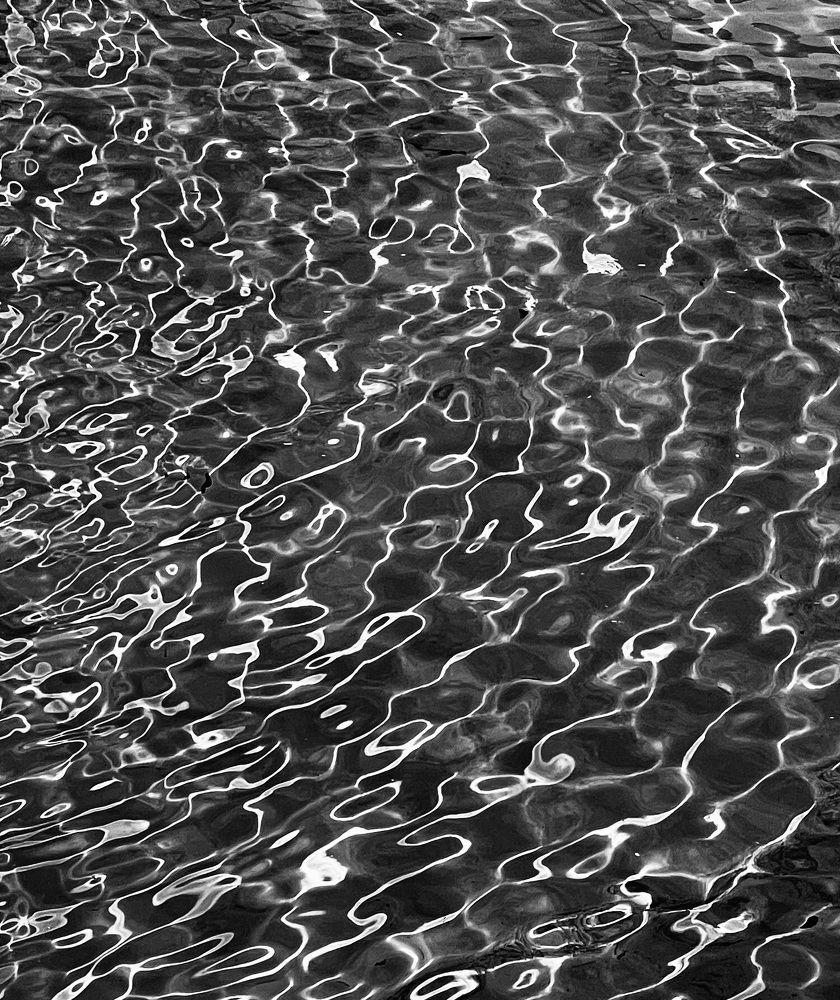 Photograph by Теодора Милекич