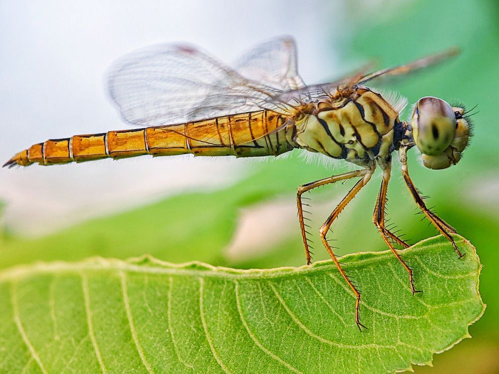 Photograph by QUYET NGUYEN TRONG