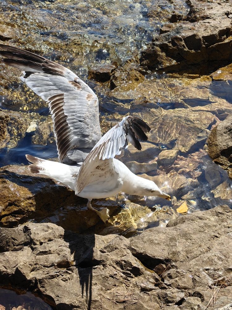 Photograph by Alen Brkić