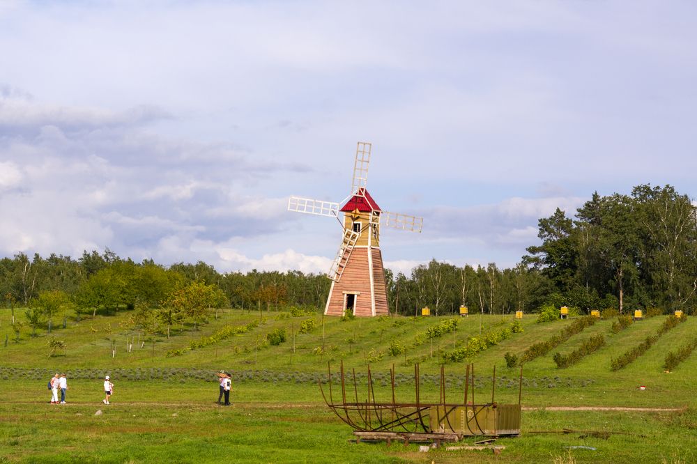 Фотография автора Алена