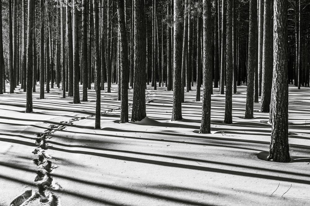 Photograph by Mysov Ivan