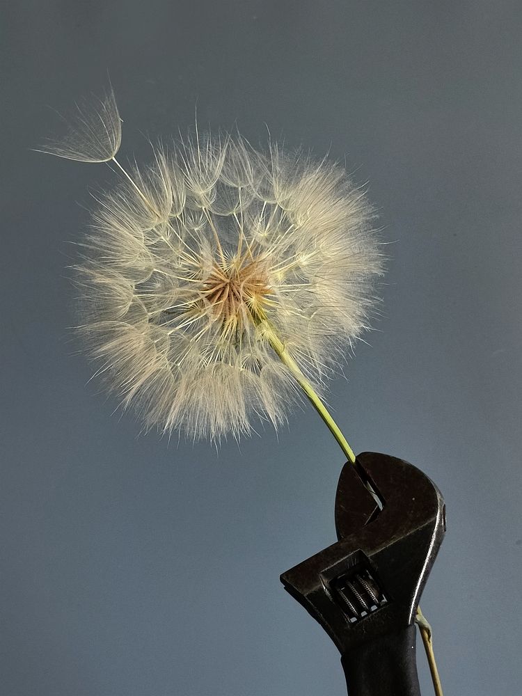 Фотография автора Татьяна Шахова