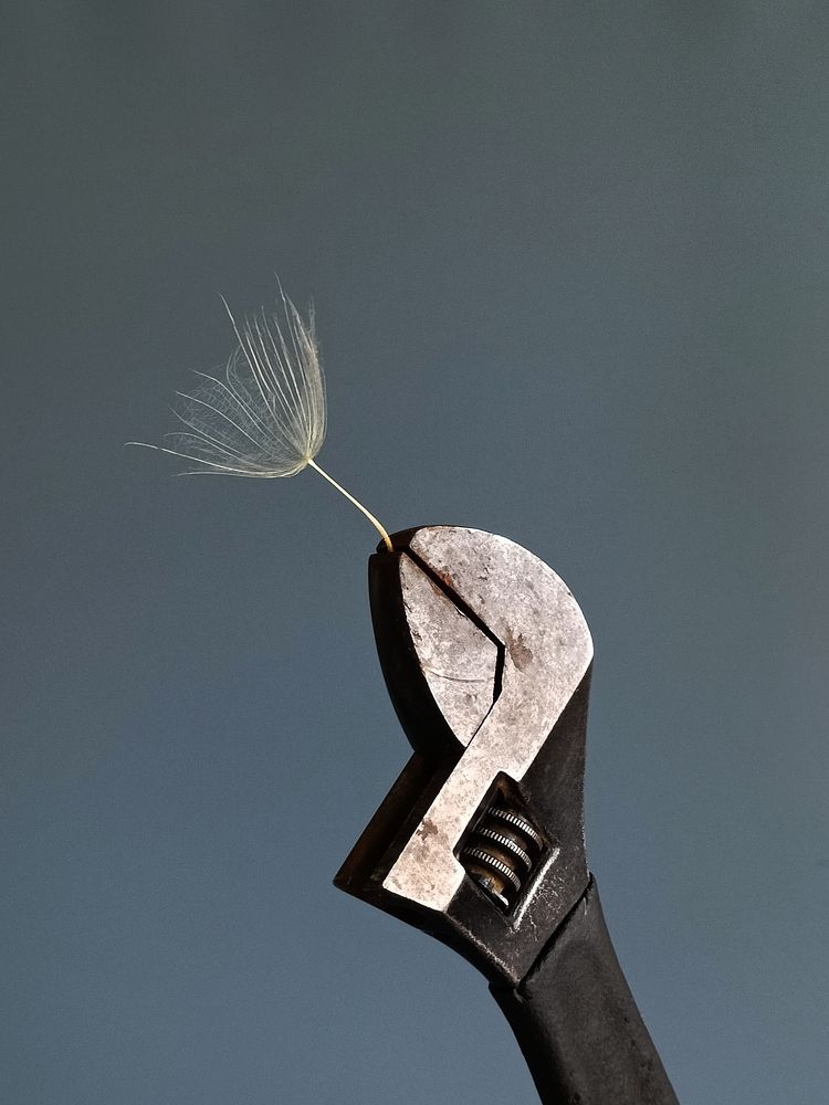 Фотография автора Татьяна Шахова