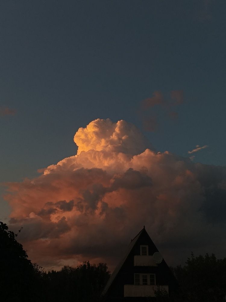 Photo #11016493