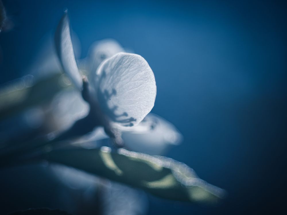 Photograph by Ирина Протченко