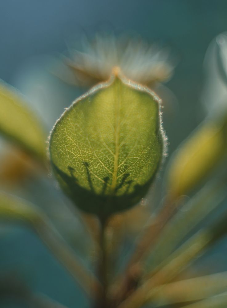 Photograph by Ирина Протченко