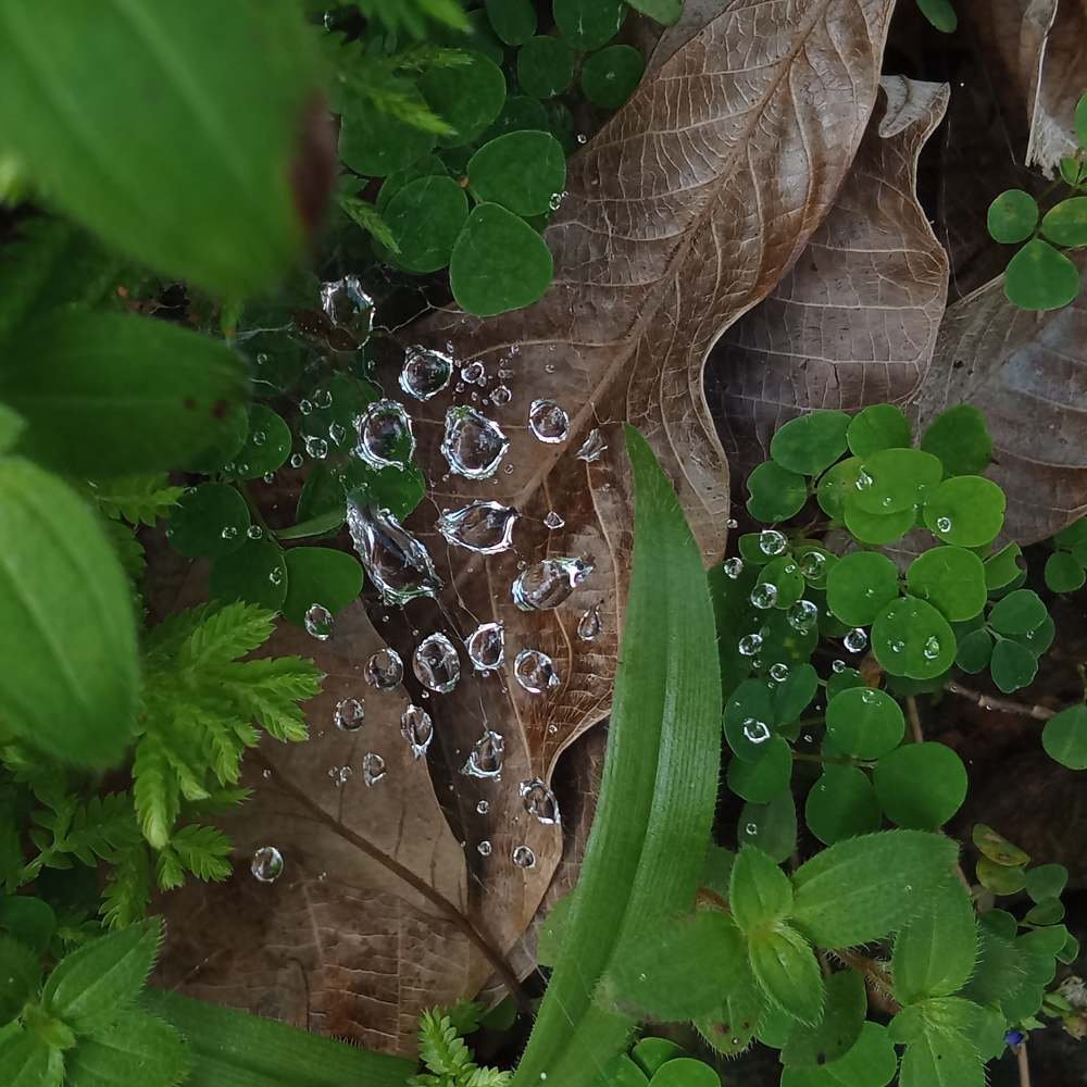 Photograph by Kavana Phatak