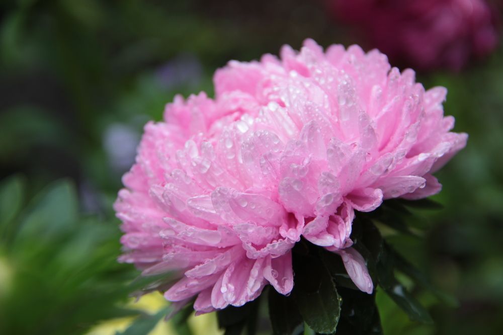 Photograph by Лилия Шарифуллина